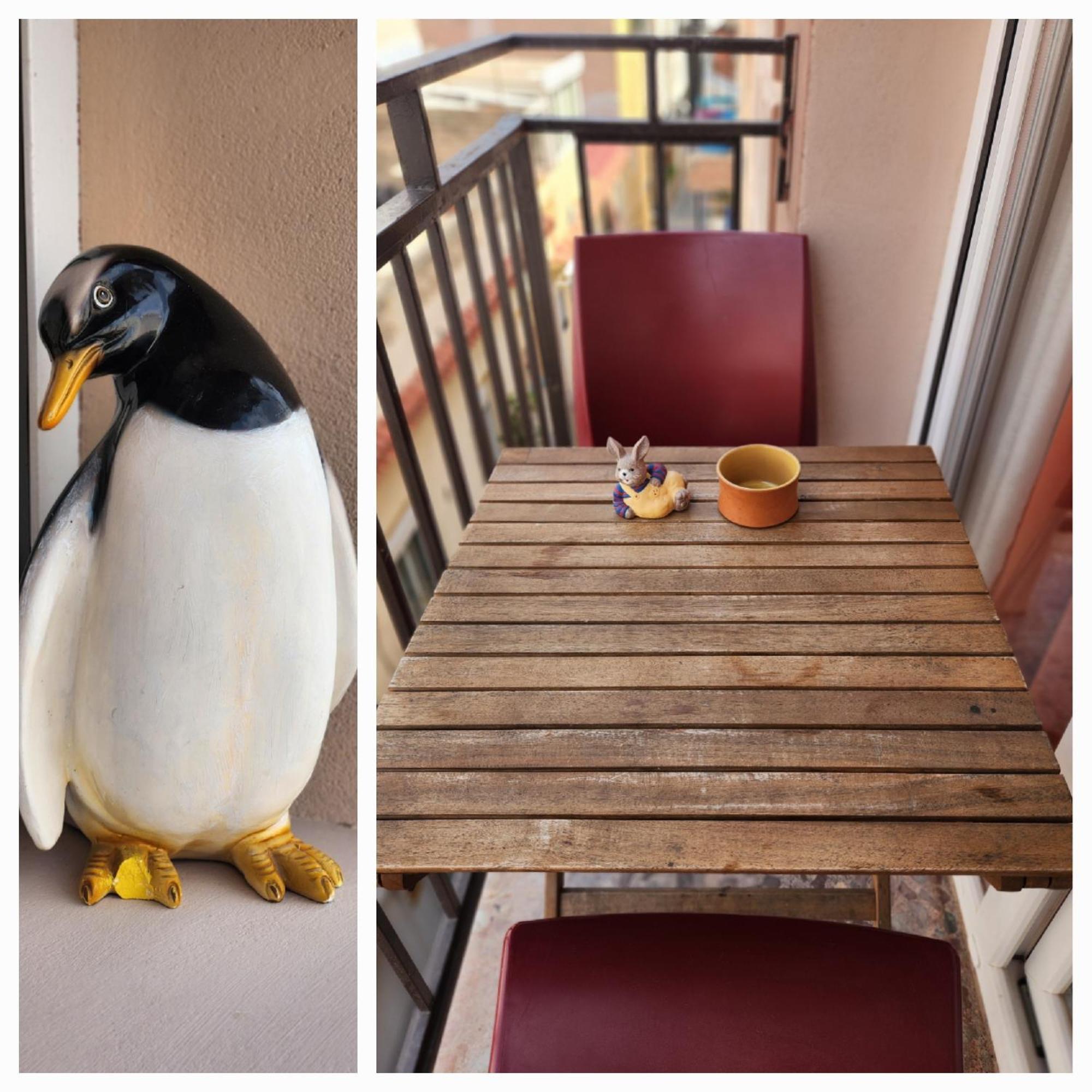 Apartamentos Belladorm Benidorm Zewnętrze zdjęcie